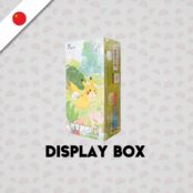 Pokemon Display Cinesi